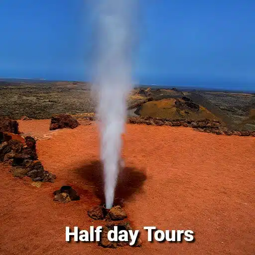 half day tours