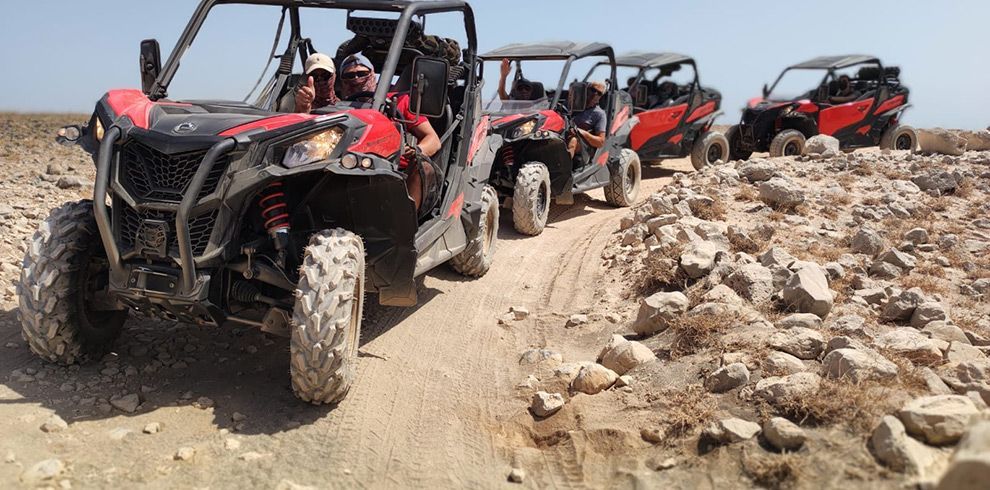 Buggy Maverik Trail