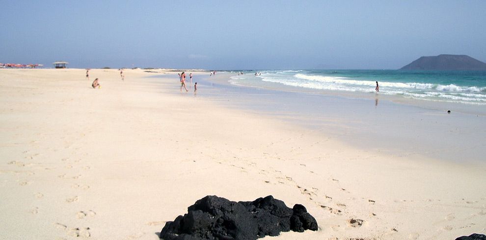 Fuerteventura Delight