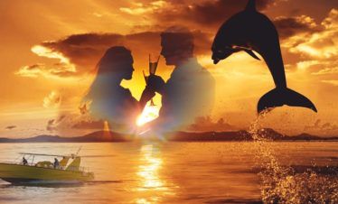 I Love Sunset & Dolphins