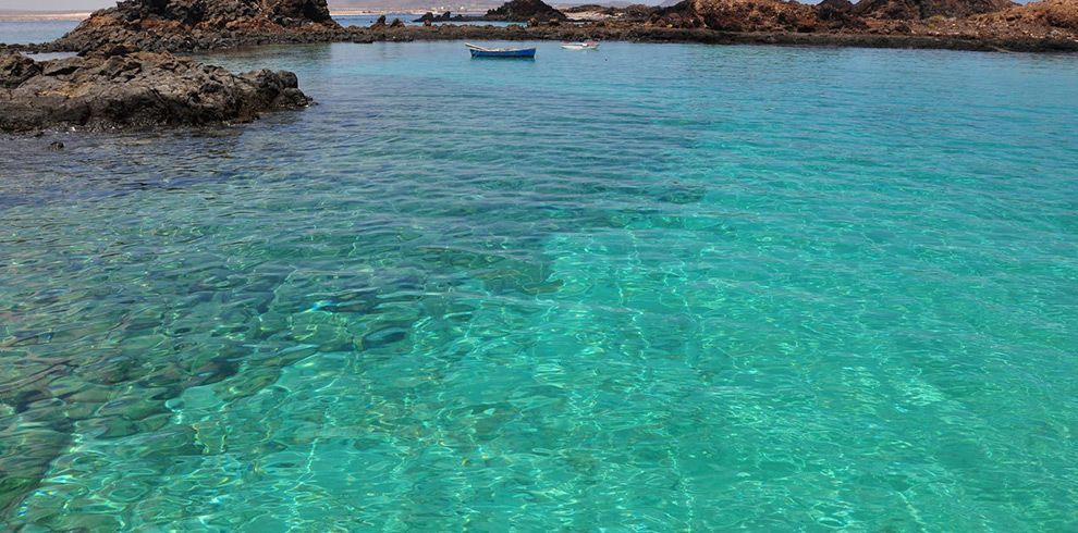 Lobos Island & Dolphins Cruise