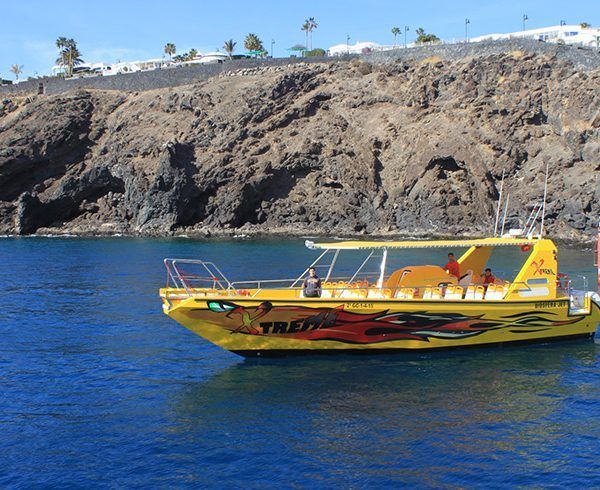 Lobos Island & Dolphins Cruise