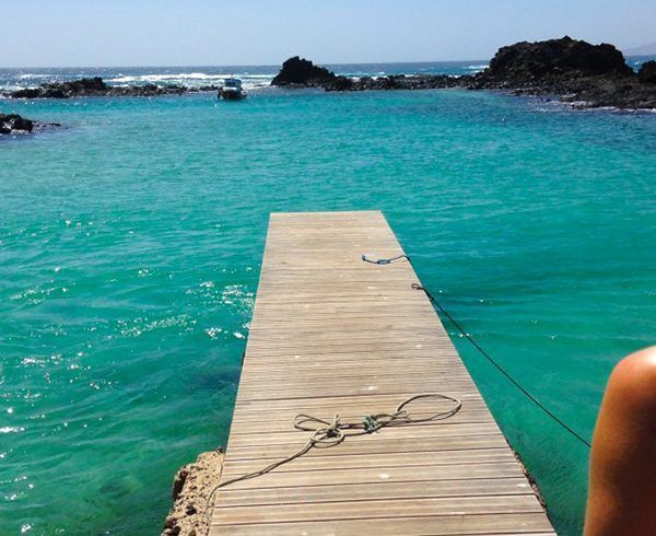 Lobos Island & Dolphins Cruise