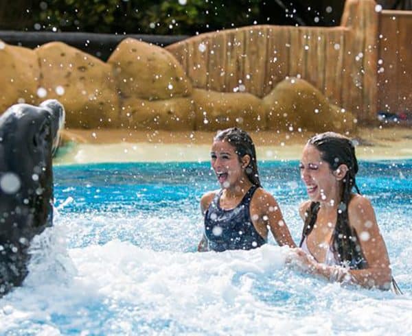 Rancho Texas Animal & Splash Park Entry