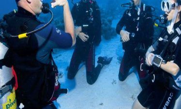 Try Dive