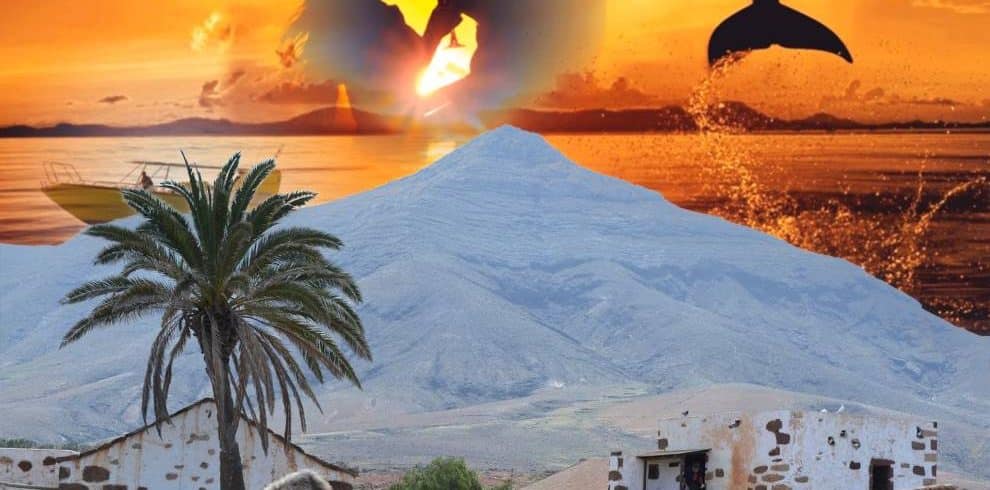 Lanzarote Volcanoes & Dolphins