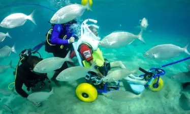 Sea-Trekking