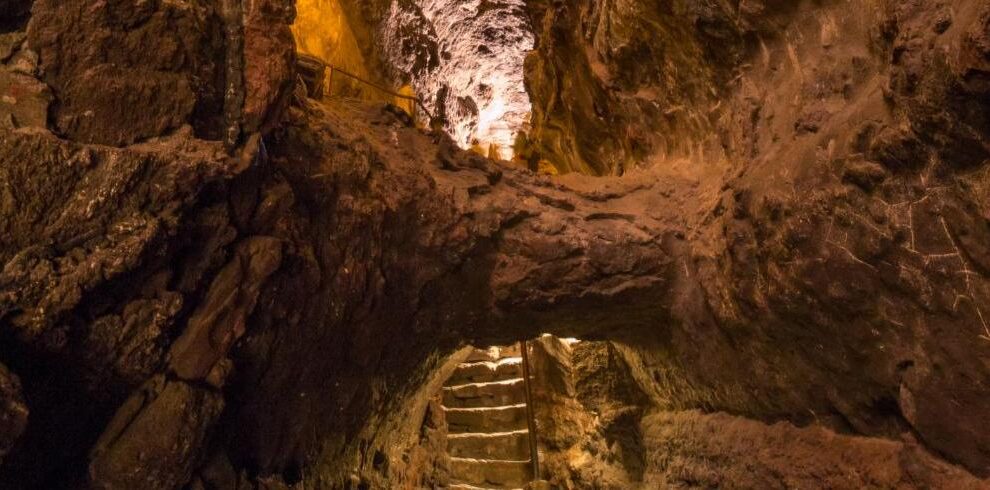 Cueva de los verdes lanzarote taxonomy