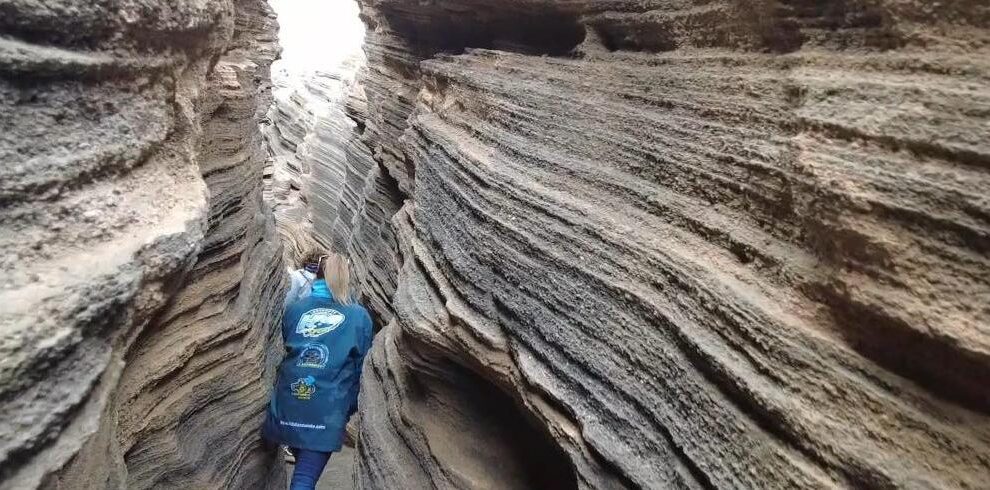 Las Grietas lanzarote taxonomy