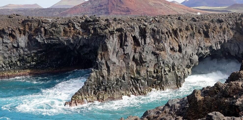 Los Hervideros lanzarote taxonomy