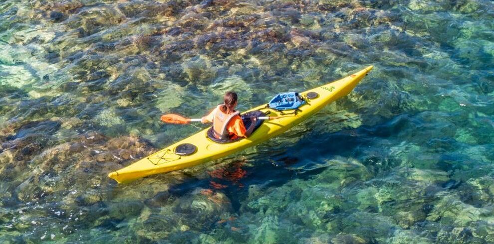 Papagayo Lanzarote taxonomy