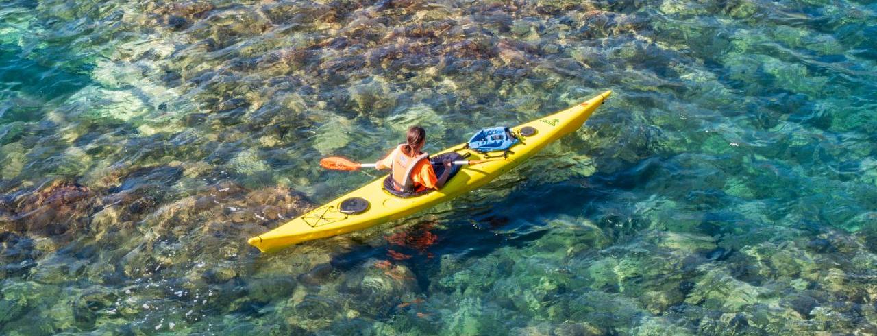 Papagayo Lanzarote taxonomy