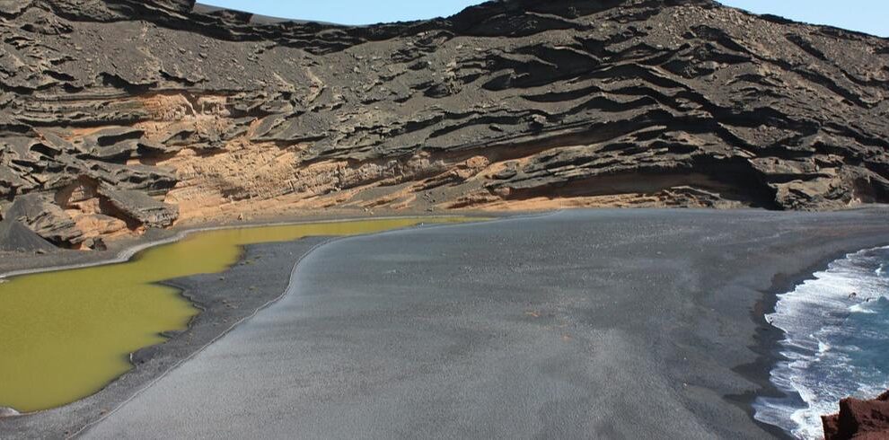 el golfo lanzarote taxonomy